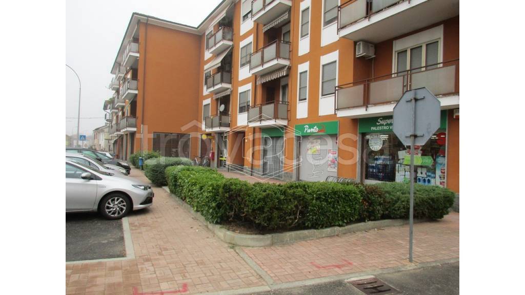 immagine annuncio 5 di 9