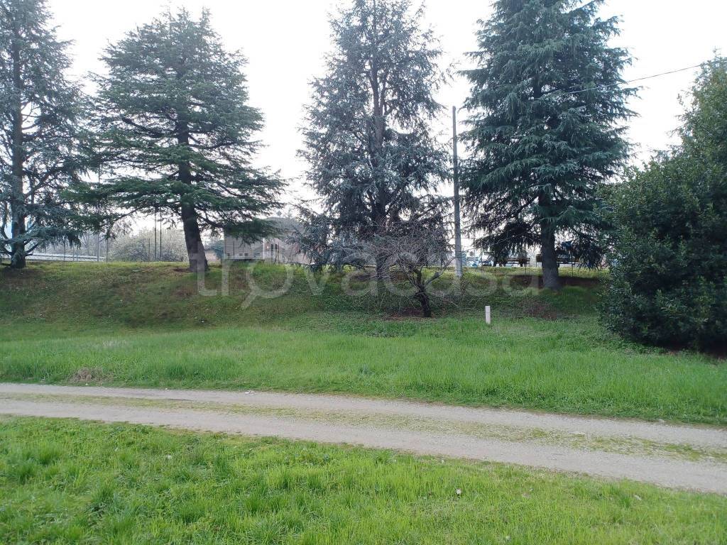 immagine annuncio 10 di 15