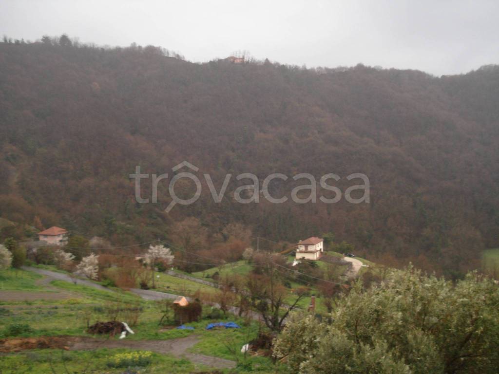 Villa Bifamiliare in affitto a Serra Riccò via Serra