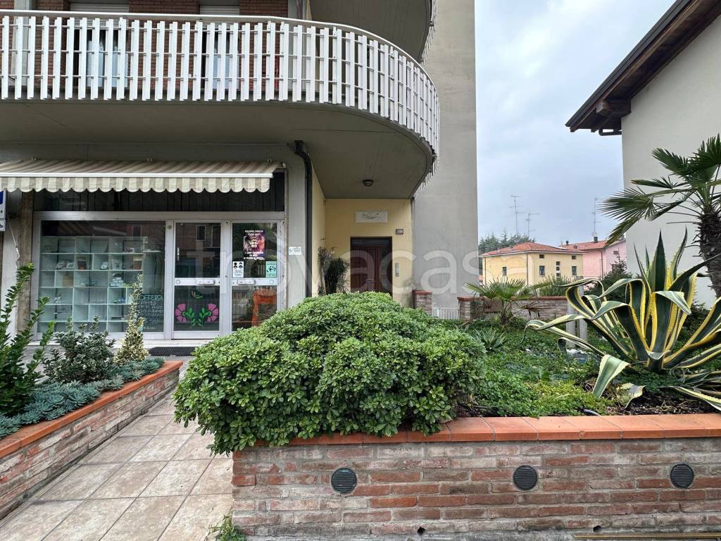 immagine annuncio 1 di 8