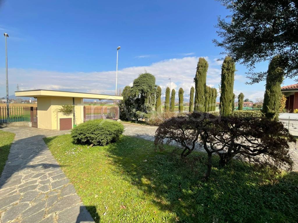 immagine annuncio 11 di 15