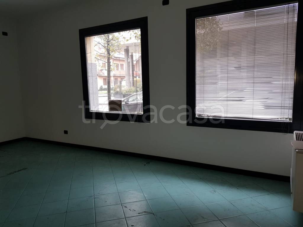 immagine annuncio 5 di 12