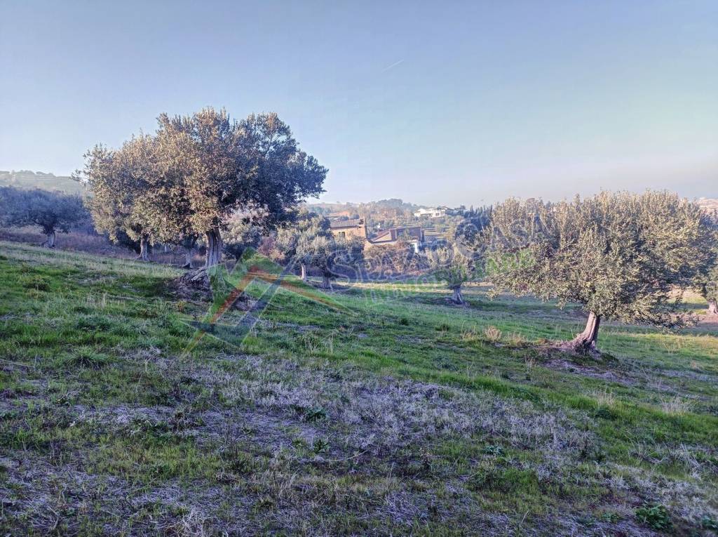 immagine annuncio 9 di 14