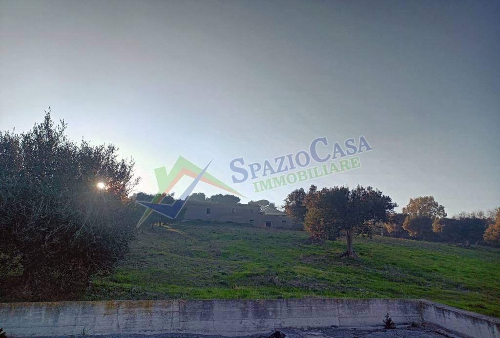 immagine annuncio 8 di 14