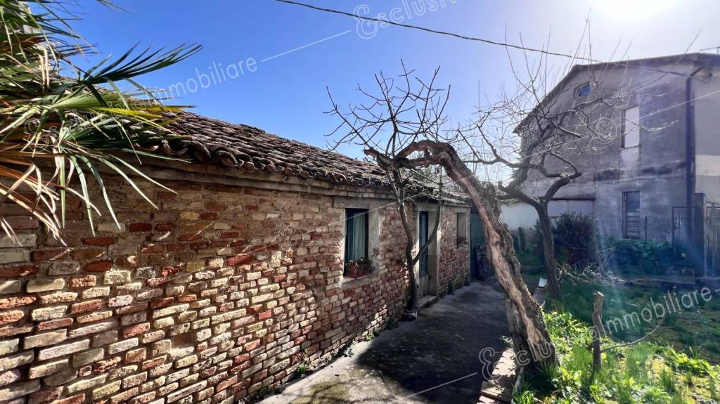 immagine annuncio 1 di 14