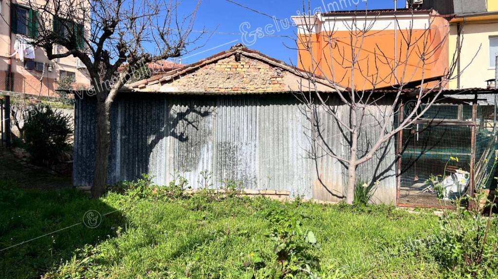 immagine annuncio 9 di 14