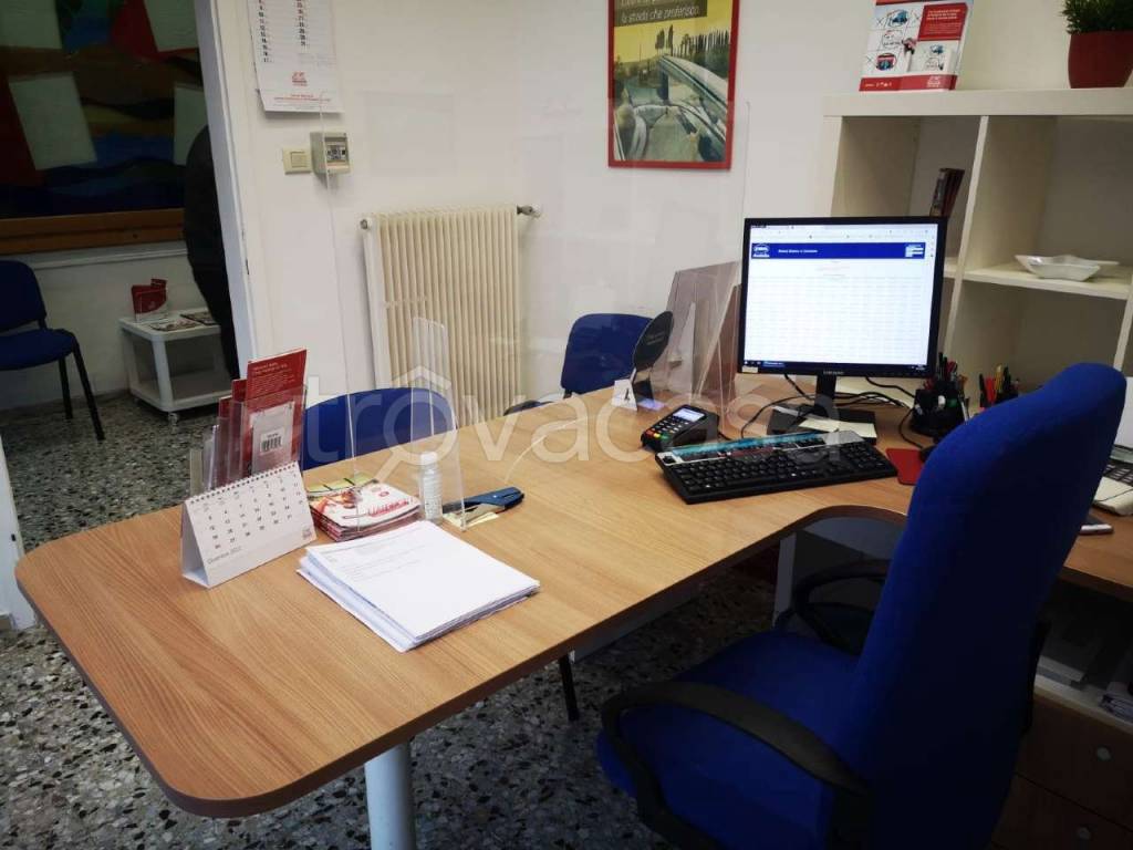 immagine annuncio 9 di 14