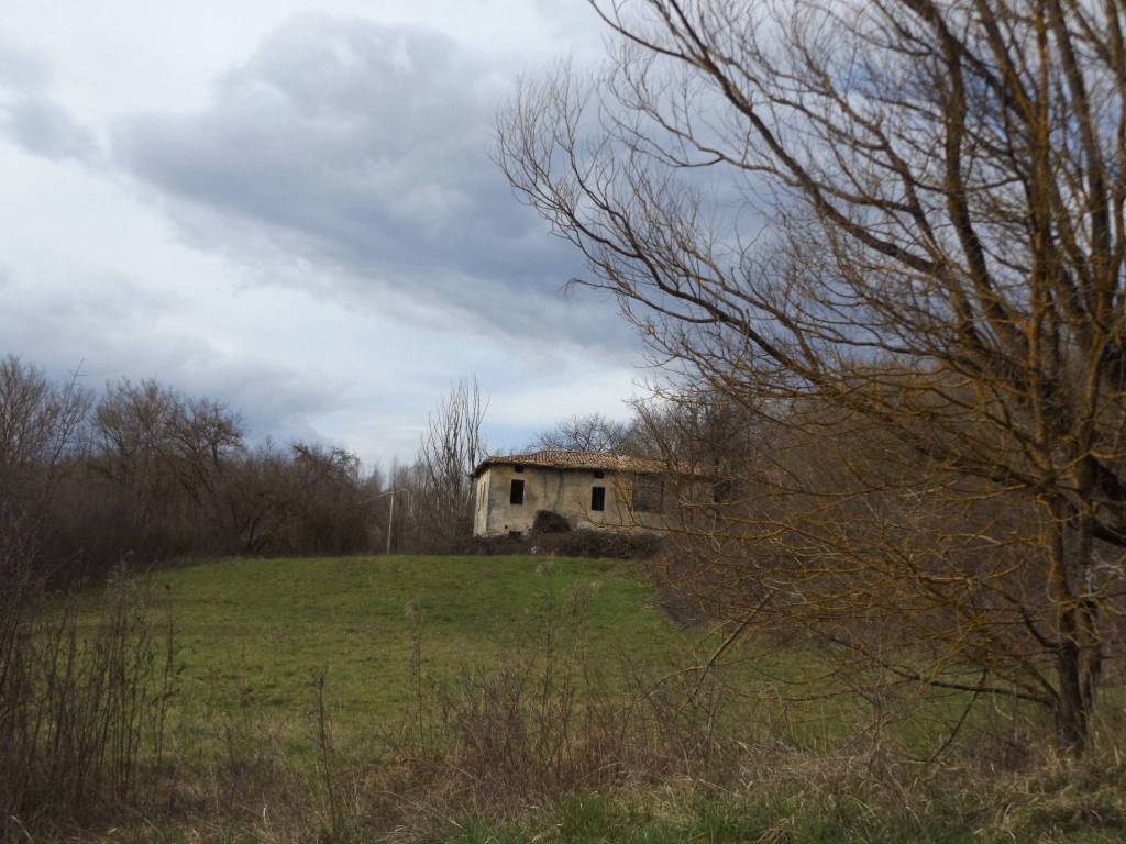immagine annuncio 5 di 9