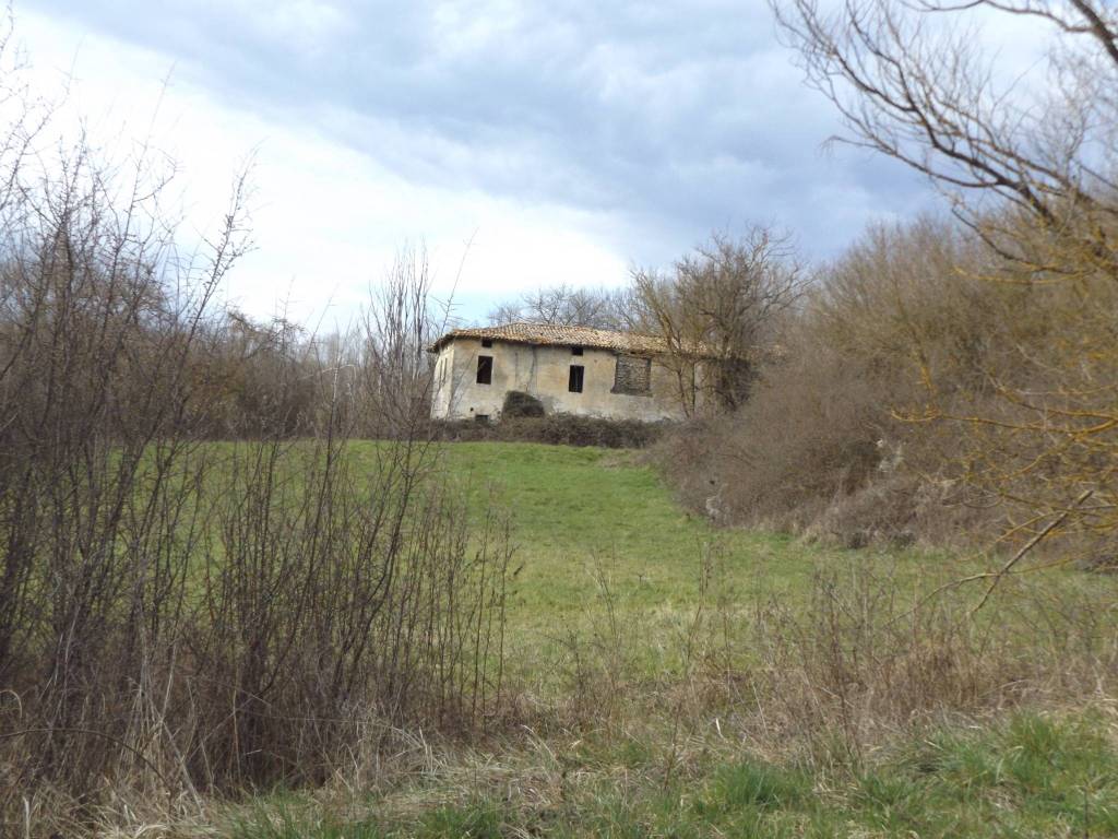 immagine annuncio 3 di 9