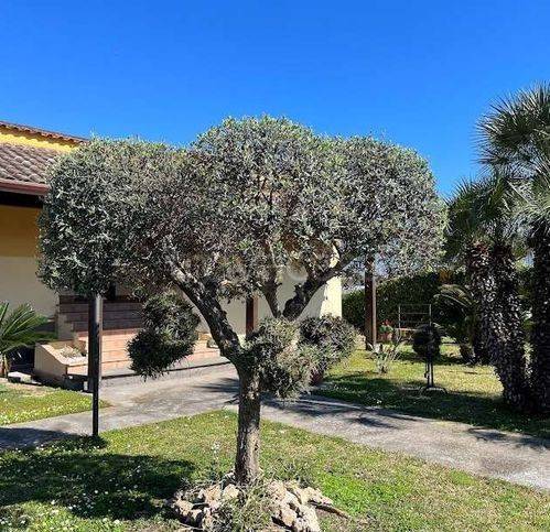 Villa in vendita a Scafati via Acquavitari