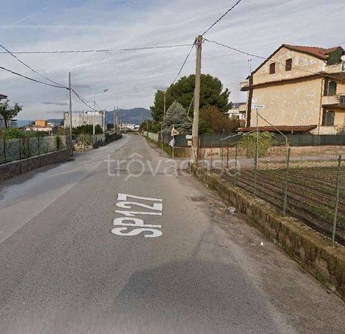 immagine annuncio 4 di 9