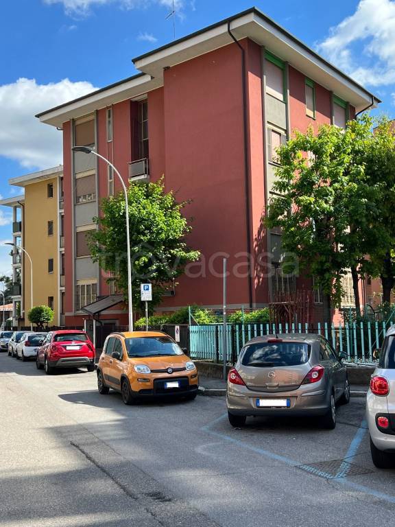 immagine annuncio 3 di 15