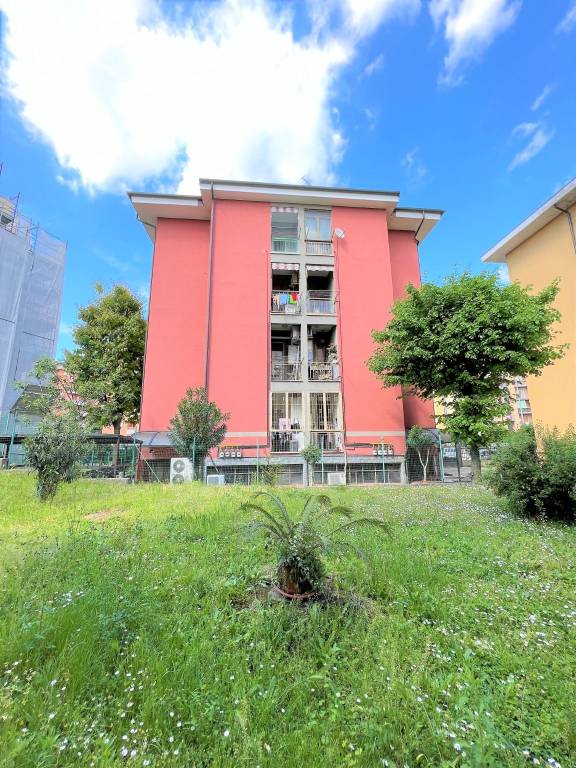 immagine annuncio 10 di 15