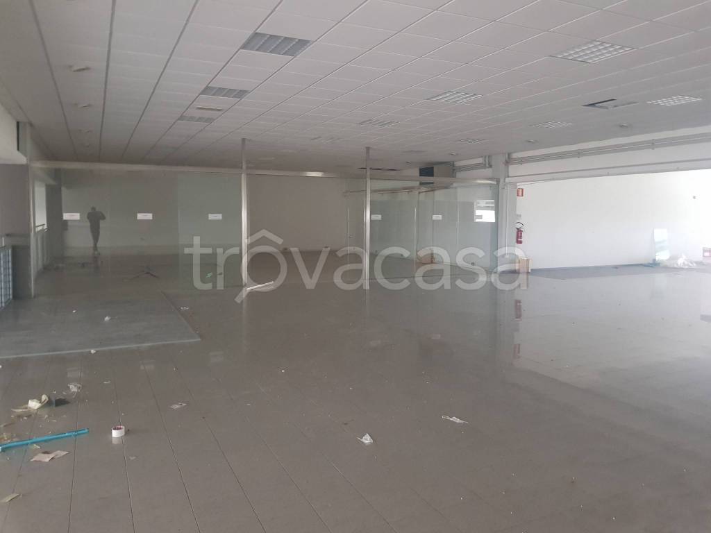 immagine annuncio 3 di 6