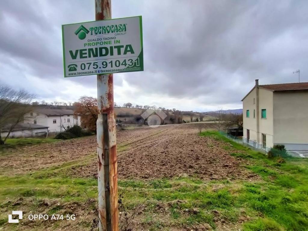 immagine annuncio 12 di 13