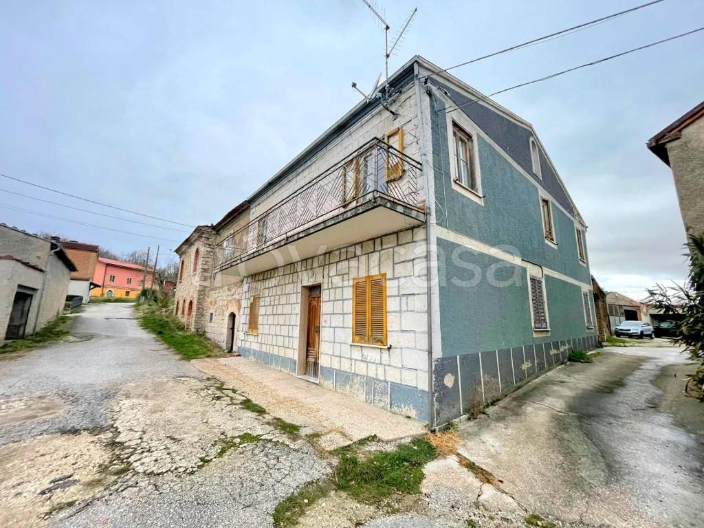 immagine annuncio 13 di 14