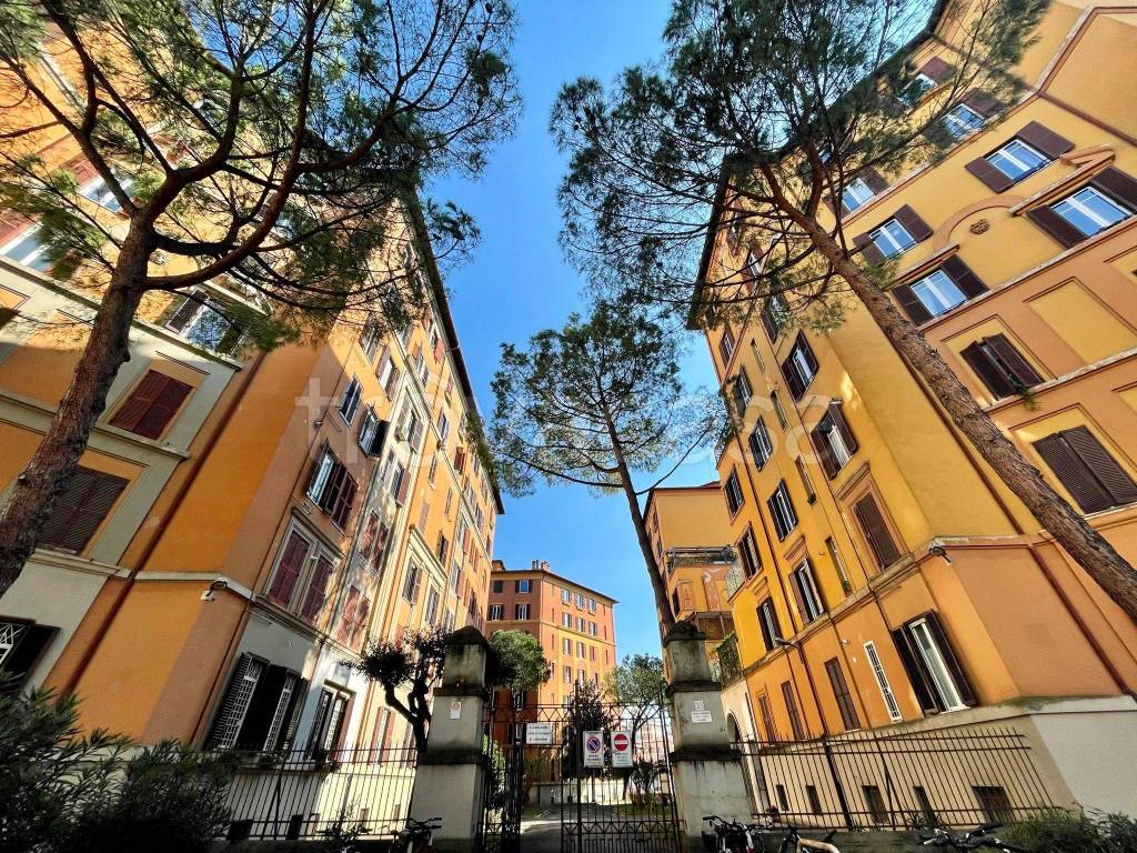 Appartamento in in vendita da privato a Roma via Giuseppe Sacconi, 19
