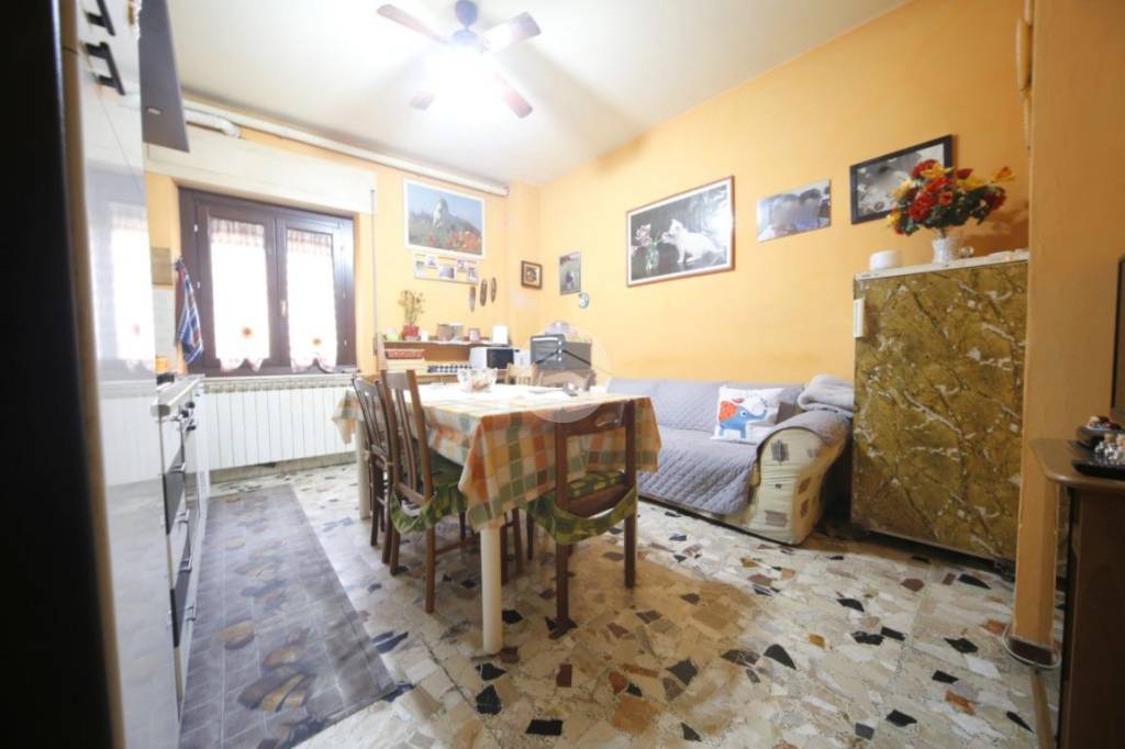 immagine annuncio 1 di 12