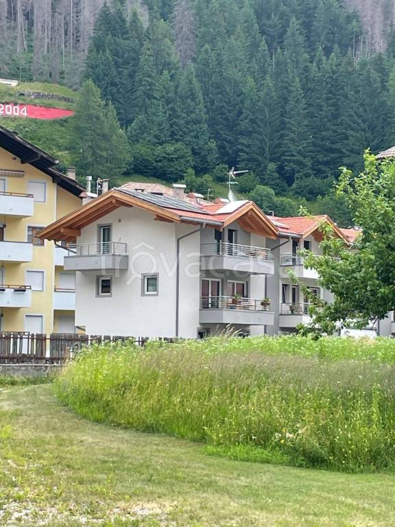 Villa a Schiera in in vendita da privato a Predazzo via Independenza