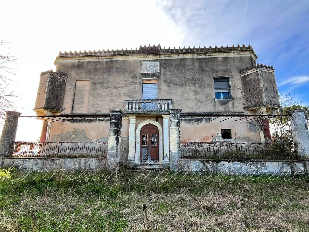 immagine annuncio 2 di 14