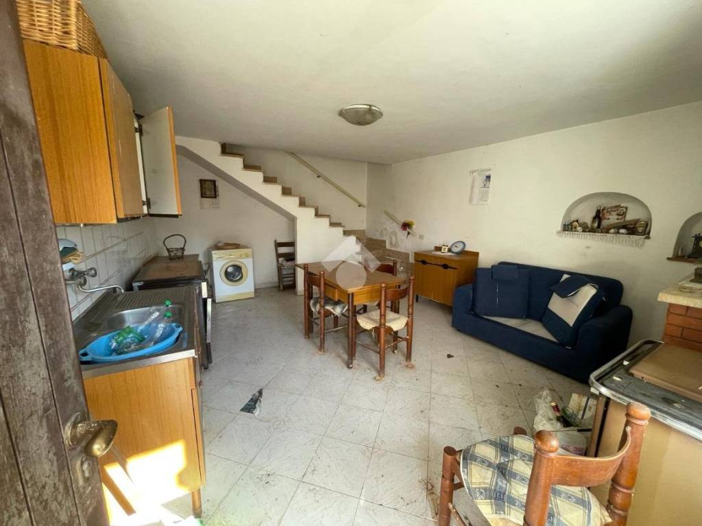 immagine annuncio 11 di 14