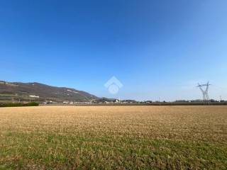 Terreno agricolo in vendita a nanto via fontanelle