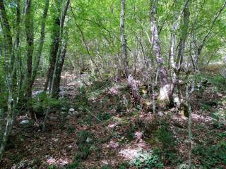 Terreno agricolo in vendita a longone sabino strada comunale longone roccasinibalda