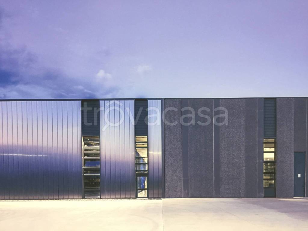 immagine annuncio 9 di 14
