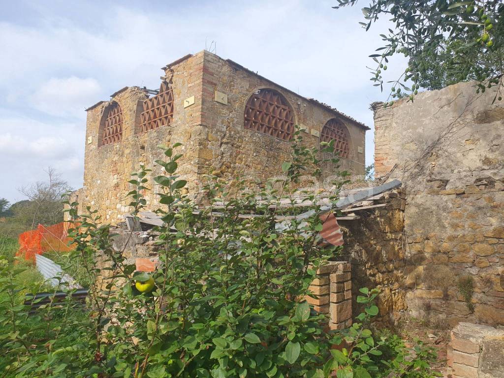 immagine annuncio 3 di 6