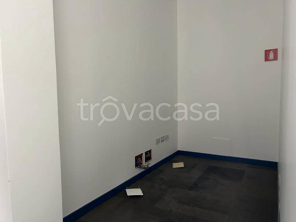 immagine annuncio 7 di 14