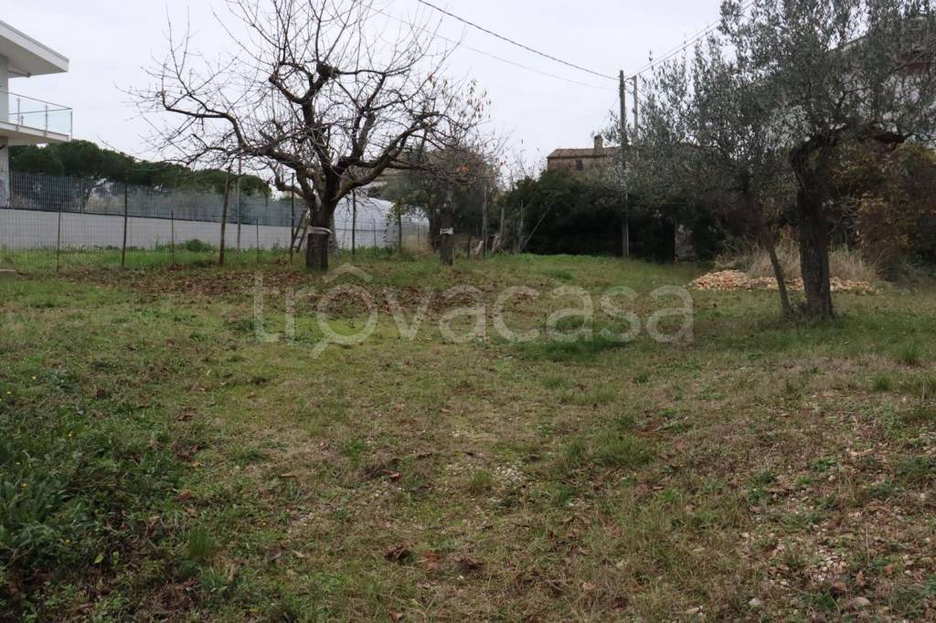 immagine annuncio 1 di 7