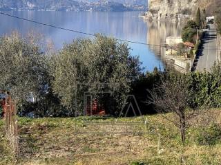 Terreno agricolo in affitto a mandello del lario 