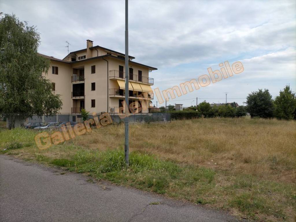 immagine annuncio 5 di 14