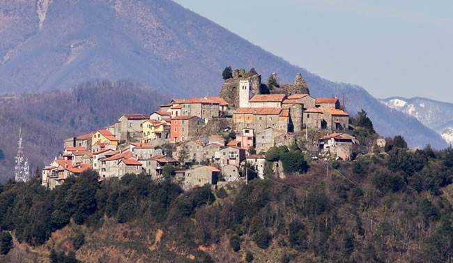 immagine annuncio 11 di 15