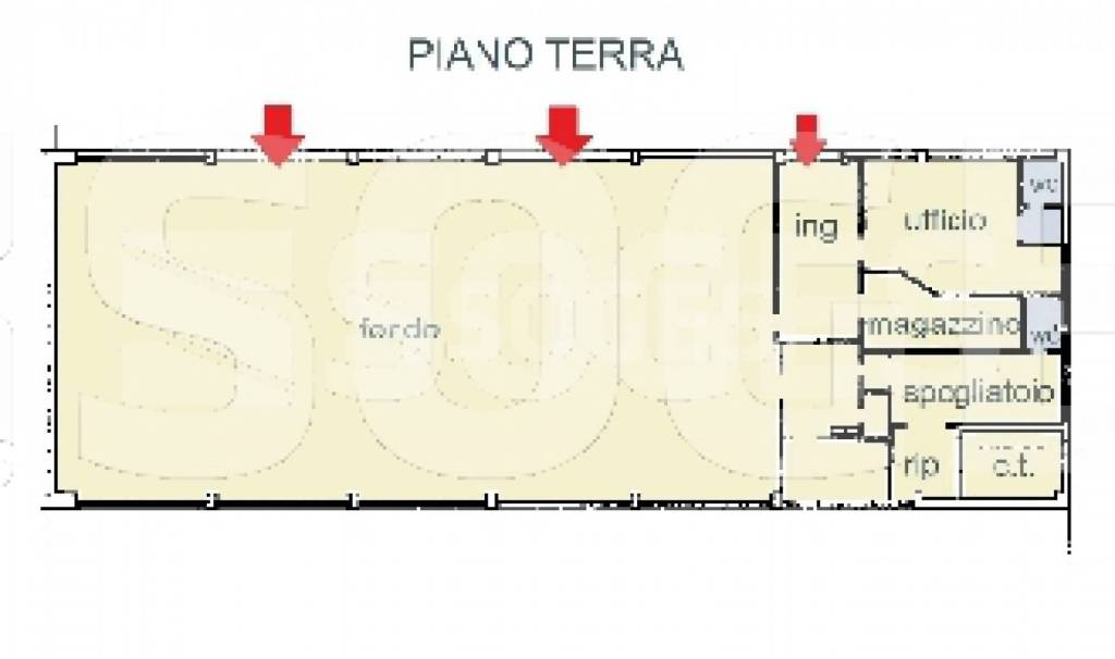 immagine annuncio 1 di 11