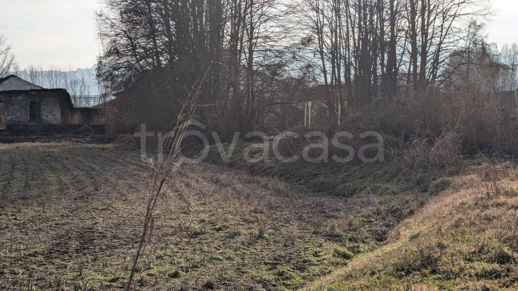 immagine annuncio 10 di 13