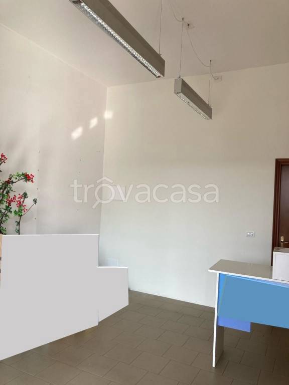 immagine annuncio 1 di 7