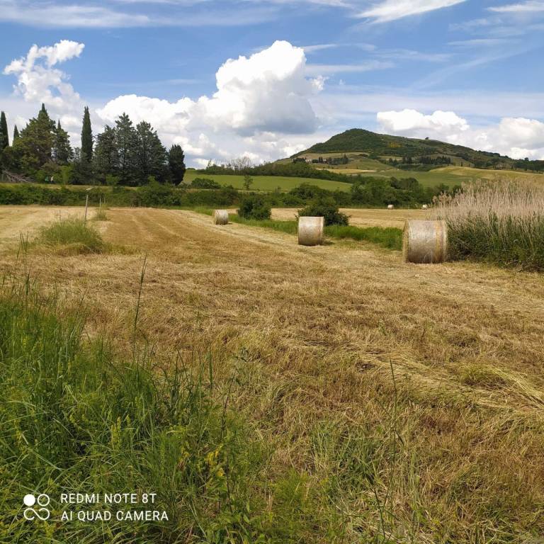 Terreno Agricolo in vendita a San Casciano dei Bagni località Podere il Gattinetto