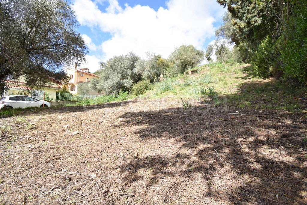 immagine annuncio 9 di 13