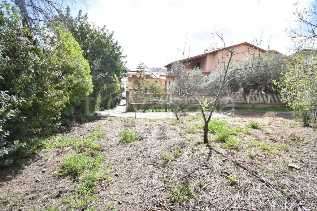 immagine annuncio 10 di 13