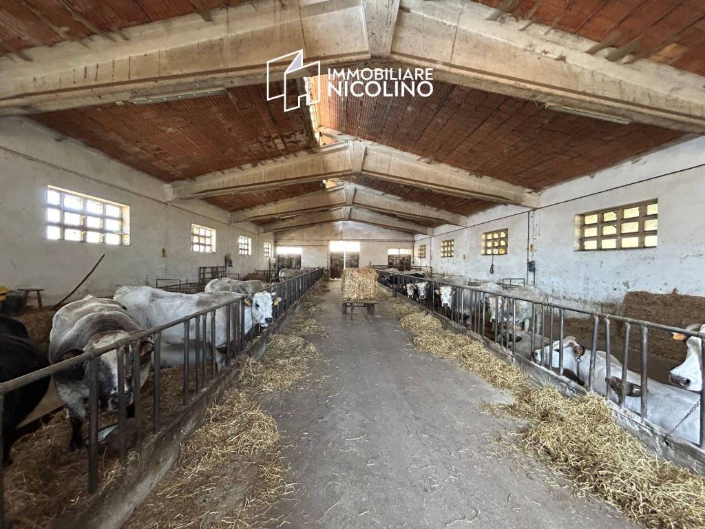 Capannone Industriale in vendita a Fossano località Murazzo, 94