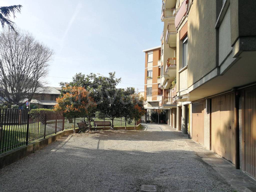 immagine annuncio 5 di 8