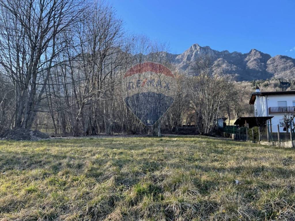 immagine annuncio 3 di 8