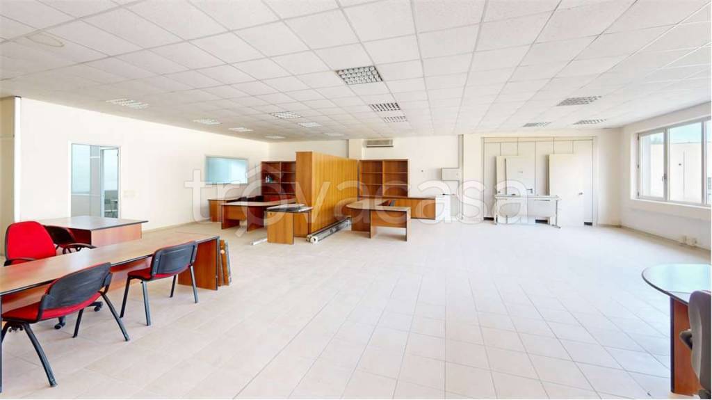 immagine annuncio 2 di 14