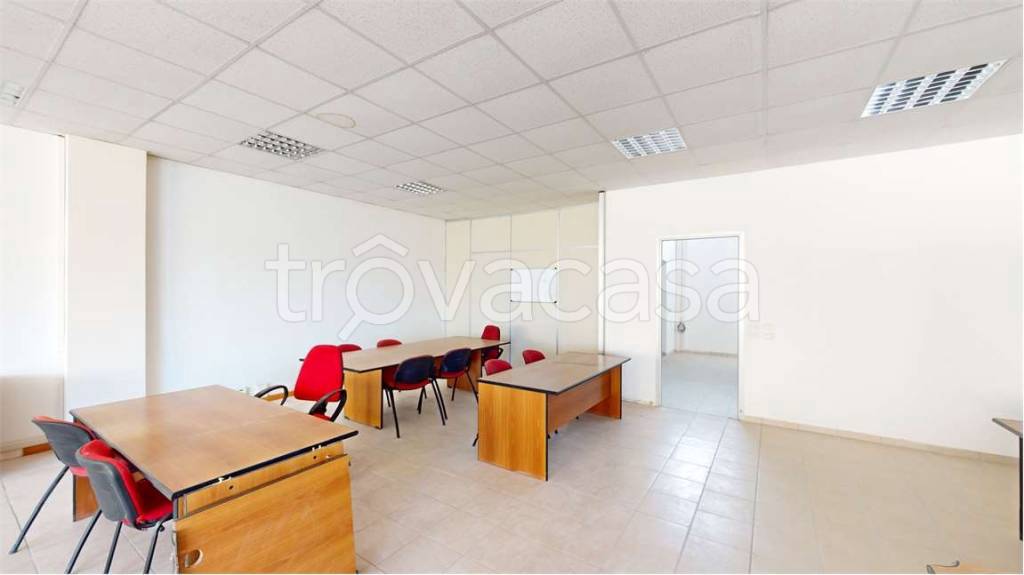 immagine annuncio 7 di 14