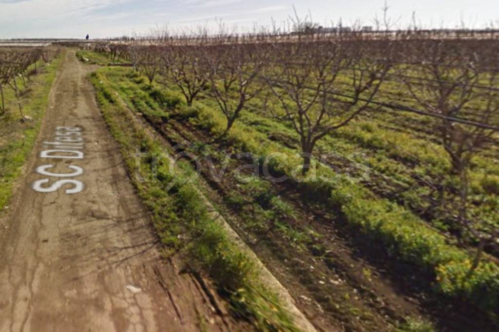 Terreno Agricolo in vendita ad Adelfia traversa di Via Michelangelo Buonarroti