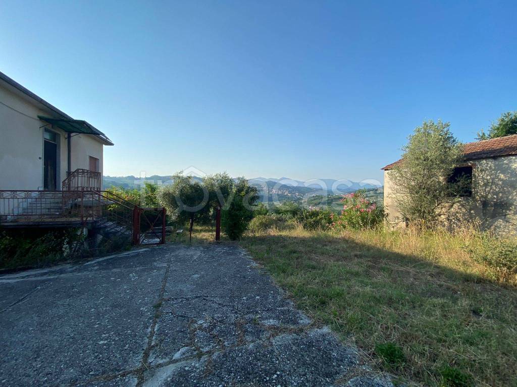 immagine annuncio 9 di 12