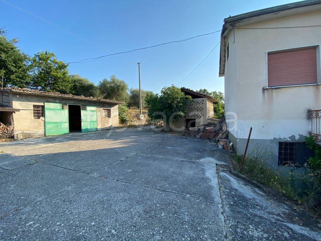 immagine annuncio 10 di 12