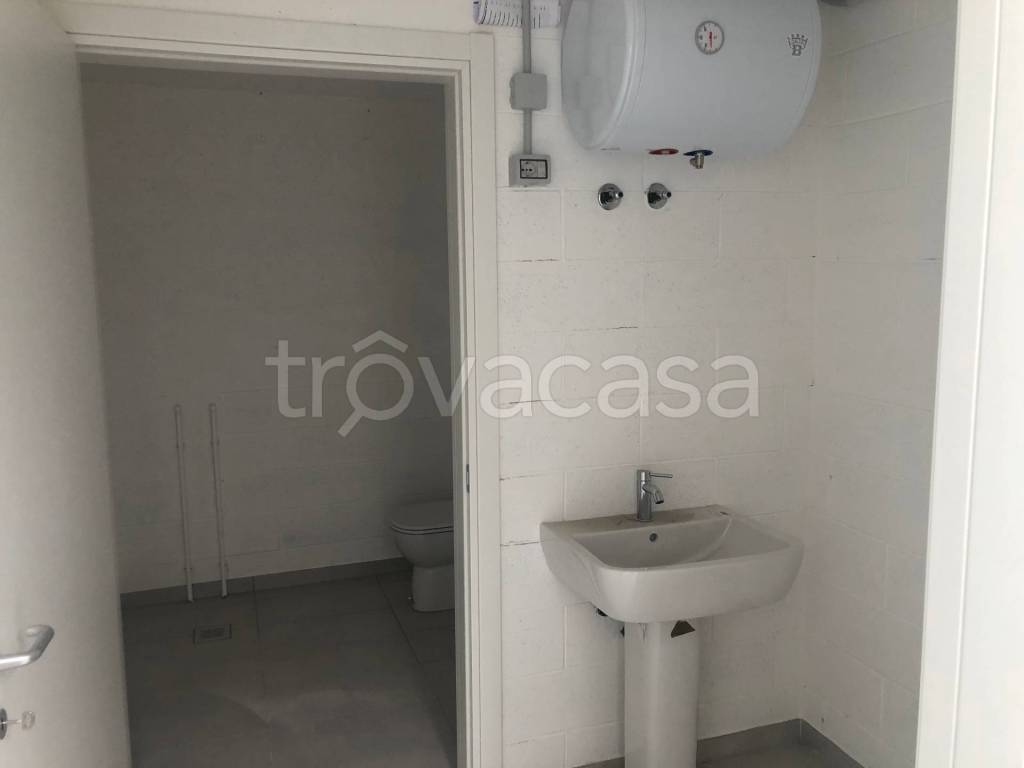 immagine annuncio 10 di 12