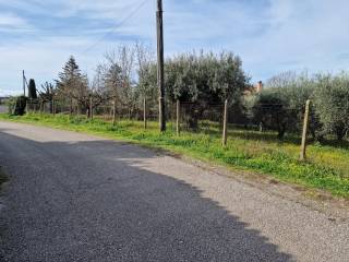 Terreno agricolo in vendita ad albano laziale vicolo sant'antonio in canepine